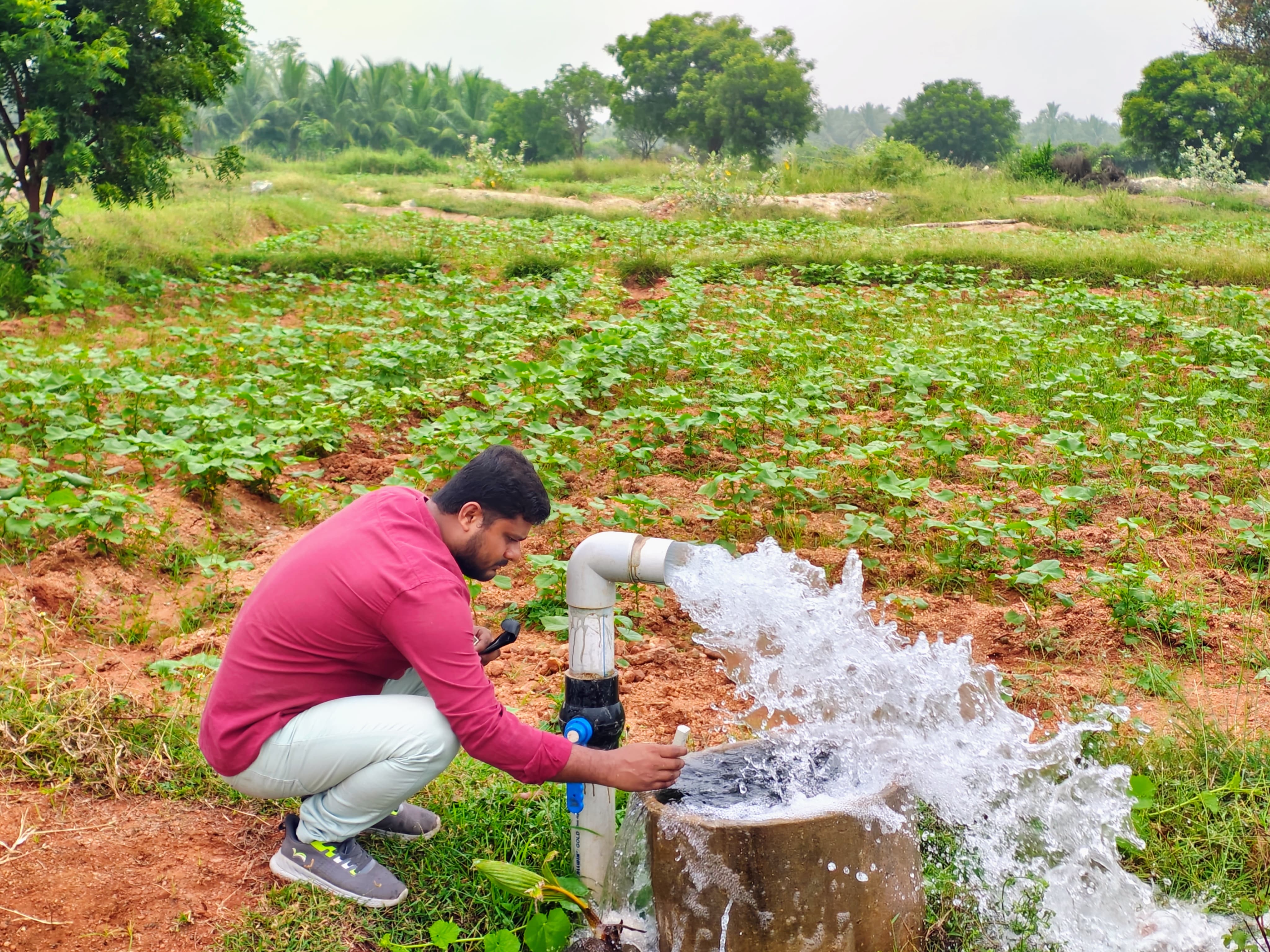 Developing and implementing science based springshed management in Western Ghat region